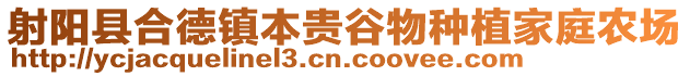 射陽縣合德鎮本貴谷物種植家庭農場