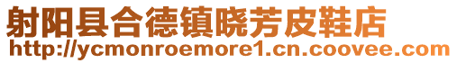 射陽(yáng)縣合德鎮(zhèn)曉芳皮鞋店