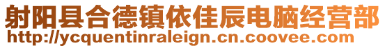 射陽縣合德鎮(zhèn)依佳辰電腦經(jīng)營部