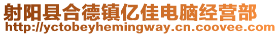 射陽縣合德鎮(zhèn)億佳電腦經(jīng)營部