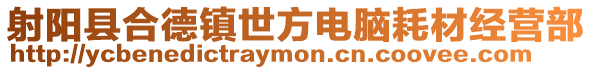 射陽縣合德鎮世方電腦耗材經營部