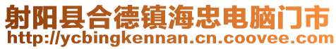 射陽縣合德鎮海忠電腦門市