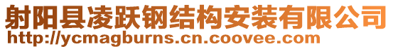 射陽縣凌躍鋼結(jié)構(gòu)安裝有限公司