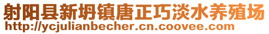 射陽縣新坍鎮唐正巧淡水養殖場