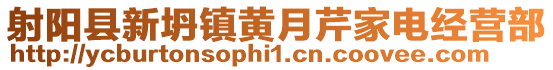 射陽縣新坍鎮黃月芹家電經營部