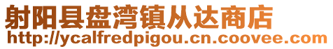 射陽縣盤灣鎮從達商店