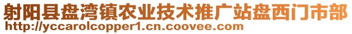 射陽縣盤灣鎮農業技術推廣站盤西門市部