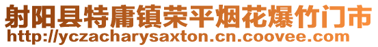 射陽縣特庸鎮榮平煙花爆竹門市