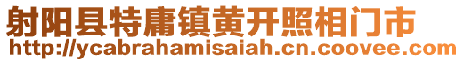 射陽縣特庸鎮黃開照相門市