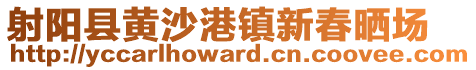 射陽縣黃沙港鎮(zhèn)新春曬場