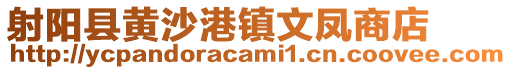 射陽(yáng)縣黃沙港鎮(zhèn)文鳳商店