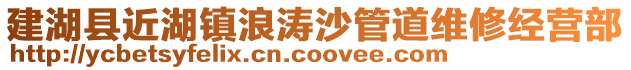 建湖縣近湖鎮浪濤沙管道維修經營部