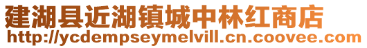 建湖縣近湖鎮(zhèn)城中林紅商店