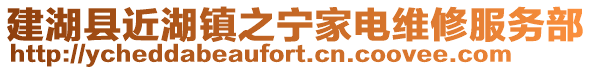 建湖縣近湖鎮(zhèn)之寧家電維修服務(wù)部