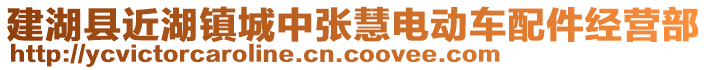 建湖縣近湖鎮城中張慧電動車配件經營部