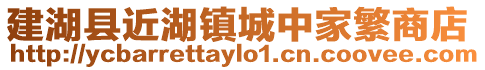 建湖縣近湖鎮(zhèn)城中家繁商店