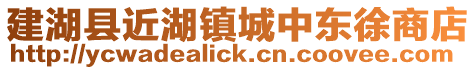 建湖縣近湖鎮城中東徐商店