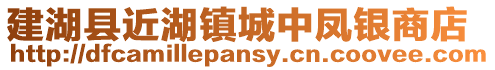 建湖縣近湖鎮(zhèn)城中鳳銀商店