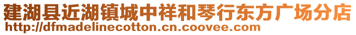 建湖縣近湖鎮城中祥和琴行東方廣場分店