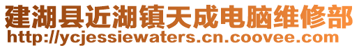 建湖縣近湖鎮(zhèn)天成電腦維修部