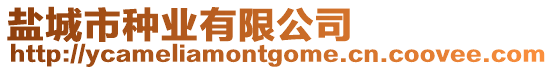 鹽城市種業(yè)有限公司