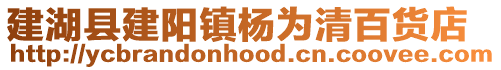 建湖縣建陽鎮楊為清百貨店