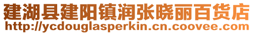 建湖縣建陽鎮潤張曉麗百貨店