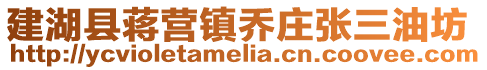 建湖縣蔣營鎮(zhèn)喬莊張三油坊