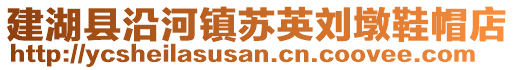 建湖縣沿河鎮蘇英劉墩鞋帽店