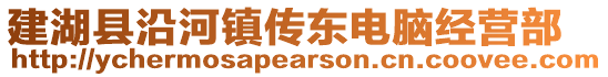 建湖縣沿河鎮(zhèn)傳東電腦經(jīng)營部