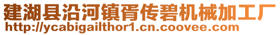 建湖縣沿河鎮(zhèn)胥傳碧機(jī)械加工廠