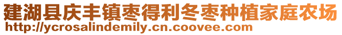 建湖縣慶豐鎮棗得利冬棗種植家庭農場