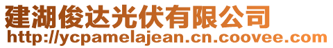 建湖俊達(dá)光伏有限公司