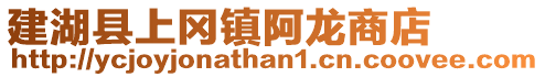 建湖縣上岡鎮(zhèn)阿龍商店