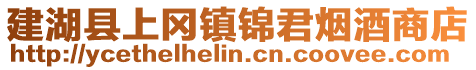 建湖縣上岡鎮(zhèn)錦君煙酒商店