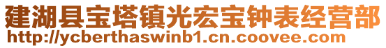 建湖縣寶塔鎮(zhèn)光宏寶鐘表經(jīng)營部