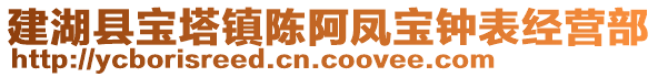 建湖縣寶塔鎮(zhèn)陳阿鳳寶鐘表經(jīng)營(yíng)部