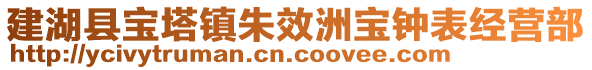 建湖縣寶塔鎮(zhèn)朱效洲寶鐘表經(jīng)營(yíng)部