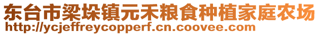 東臺市梁垛鎮(zhèn)元禾糧食種植家庭農(nóng)場