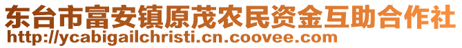 東臺市富安鎮原茂農民資金互助合作社