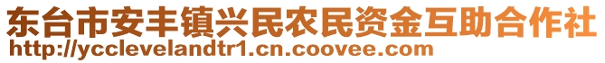 東臺(tái)市安豐鎮(zhèn)興民農(nóng)民資金互助合作社