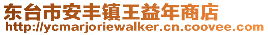 東臺市安豐鎮王益年商店