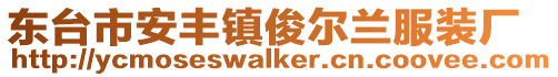 東臺市安豐鎮(zhèn)俊爾蘭服裝廠