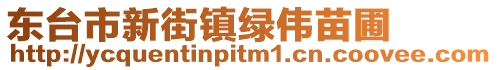 東臺市新街鎮(zhèn)綠偉苗圃