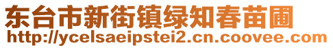 東臺(tái)市新街鎮(zhèn)綠知春苗圃