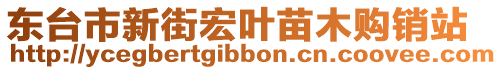 東臺市新街宏葉苗木購銷站