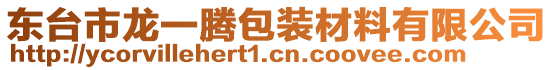 東臺市龍一騰包裝材料有限公司