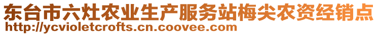 東臺市六灶農(nóng)業(yè)生產(chǎn)服務(wù)站梅尖農(nóng)資經(jīng)銷點