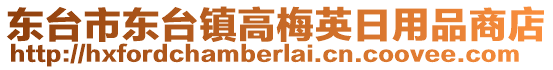 東臺市東臺鎮(zhèn)高梅英日用品商店