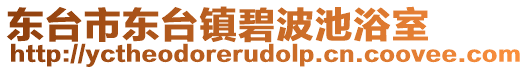 東臺市東臺鎮(zhèn)碧波池浴室